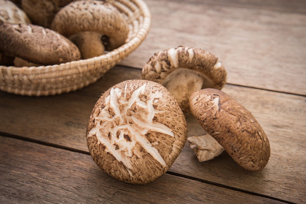 7 Alasan Mengapa Jamur Adalah Superfood Terbaik